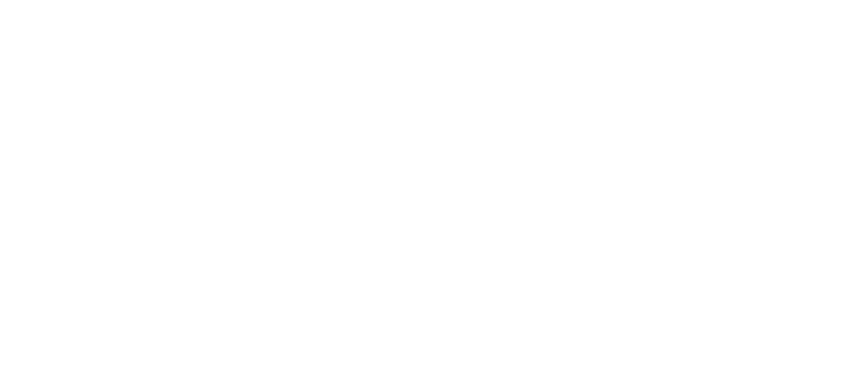 Référence - Storck - BVS Industrie-Elektronik