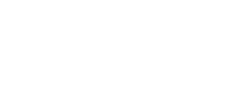 Referencja – ZF – BVS Industrie-Elektronik